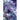 Ascension Path Work: A Pocket Guide