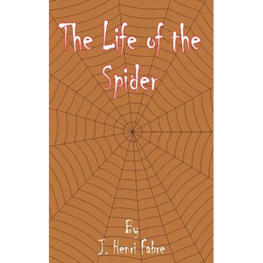 The Life of the Spider