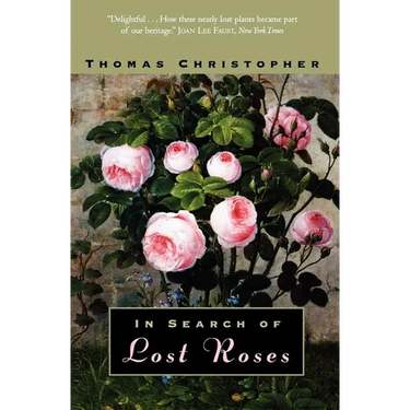 In Search of Lost Roses