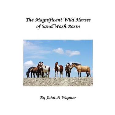 The Magnificent Wild Mustangs Of Sand Wash Basin