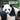 Panda Opposites