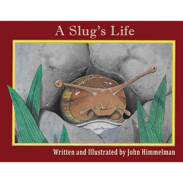 A Slug's Life