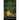 The Gods Have Vanished!: An emotional saga of a simple life scarred with cynical urbanism