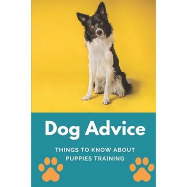 Dog Advice: Things To Know About Puppies Training: How To Start Training My Puppy