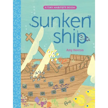 Sunken Ship