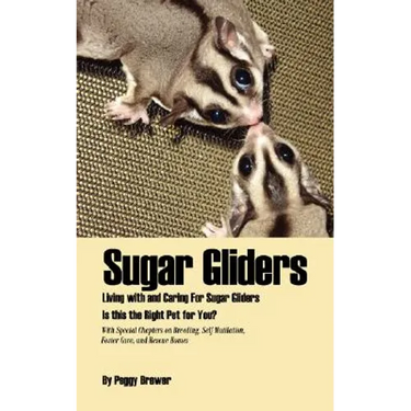 Sugar Gliders: Living with and Caring for Sugar Gliders Is This the Right Pet for You?