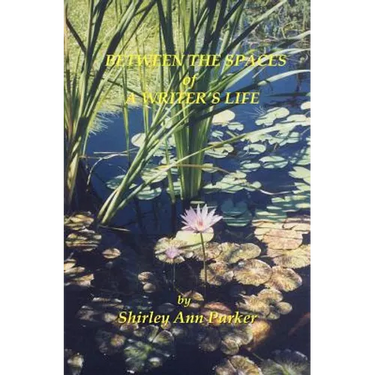 Between the Spaces of A Writer's Life