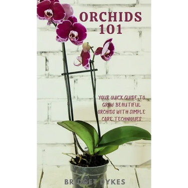 Orchids 101: Your quick guide to grow beautiful orchids with simple care techniques