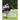 Making the American Thoroughbred Horse: Including Reminiscences of the Turf