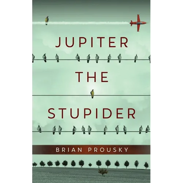 Jupiter the Stupider