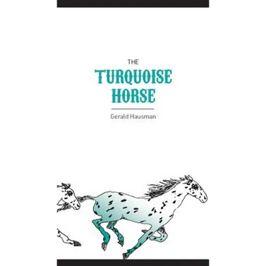 The Turquoise Horse