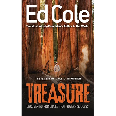 Treasure: Uncovering Principles That Govern Success