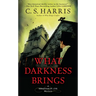 What Darkness Brings