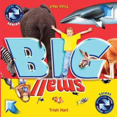 BIG and SMALL: A concept picture book for children