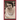Carl Sagan: A Biography