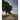 Have a Great Dream: Book 2; A Deeper Discussion