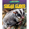 Sugar Glider