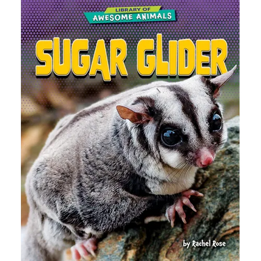 Sugar Glider