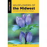 Wildflowers of the Midwest