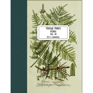 Vintage Prints: Ferns: Vol. 10