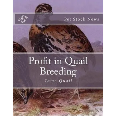 Profit in Quail Breeding: Tame Quail