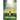 Divine Healing