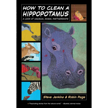 How to Clean a Hippopotamus: A Look at Unusual Animal Partnerships