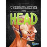 Understanding Our Head
