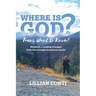 Where is God? Teens Want to Know!: Elizabeth, a seeking teenager, finds God through mysterious emails.