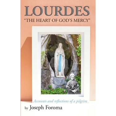 Lourdes - "The Heart of God's Mercy": Accounts and reflections of a pilgrim