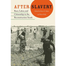 After Slavery: Race, Labor, and Citizenship in the Reconstruction South