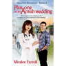 Plus One at an Amish Wedding