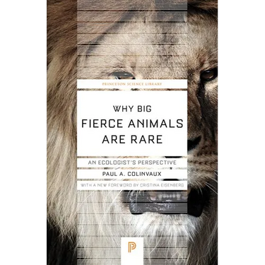 Why Big Fierce Animals Are Rare: An Ecologist's Perspective