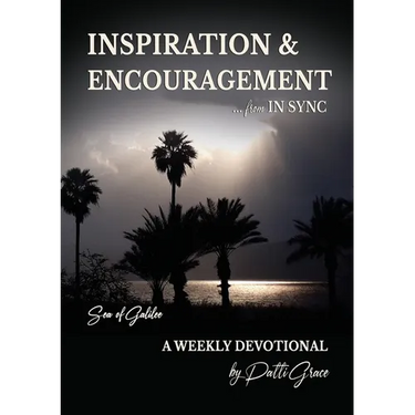 INSPIRATION & ENCOURAGEMENT from IN SYNC: Sea of Galilee - A Weekly Devotional