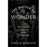 The Matter of Wonder: Abhinavagupta's Panentheism and the New Materialism