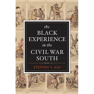 The Black Experience in the Civil War South