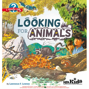 Looking for Animals: I Wonder Why