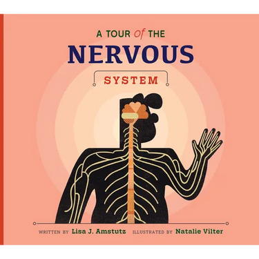 A Tour of the Nervous System