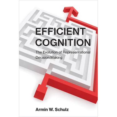 Efficient Cognition: The Evolution of Representational Decision Making