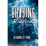 Chasing Riddick: Discreet/Alternative Cover