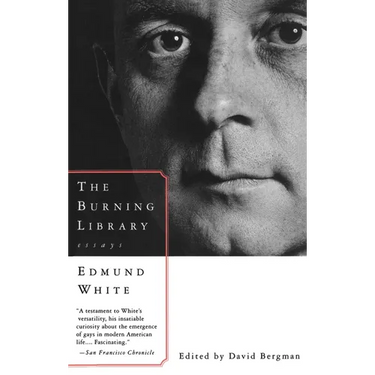 The Burning Library: Essays