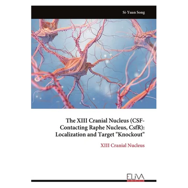 The XIII Cranial Nucleus (CSF-Contacting Raphe Nucleus, CsfR): Localization and Target "Knockout"