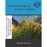 Math Challenge I-C Topics In Algebra
