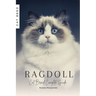 Ragdoll: Cat Breed Complete Guide