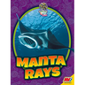 Manta Rays