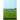 The Life Of Saint Rose Of Lima
