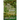 The Veiled Lagoon