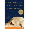 The Art of Racing in the Rain