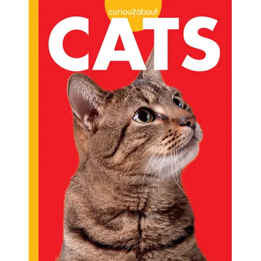 Curious about Cats