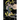 Call of the Night, Vol. 6